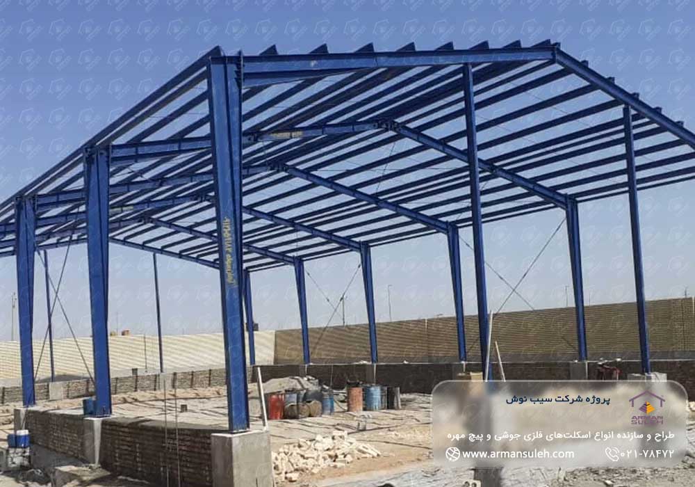 پروژه شرکت سیب نوش