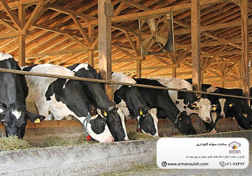 ساخت سوله گاوداری