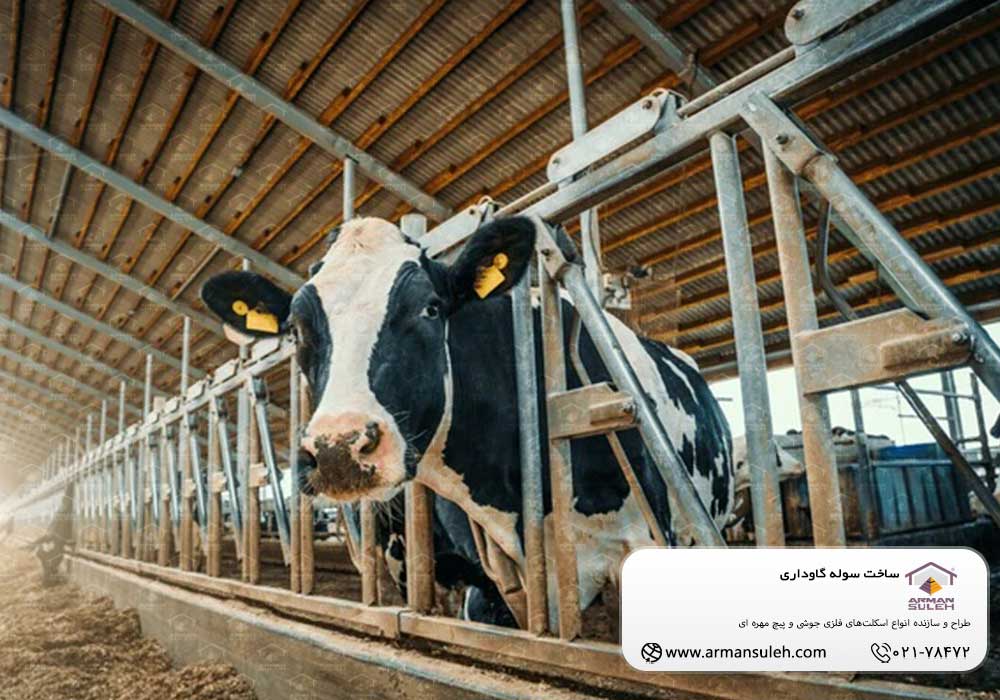 ساخت سوله گاوداری