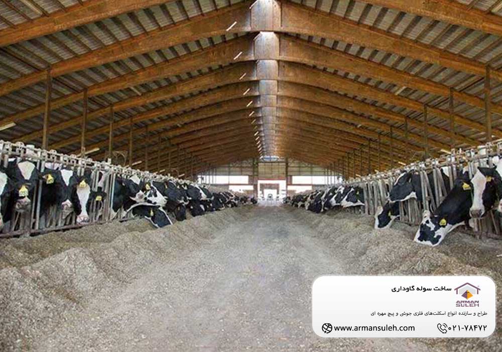 ساخت سوله گاوداری