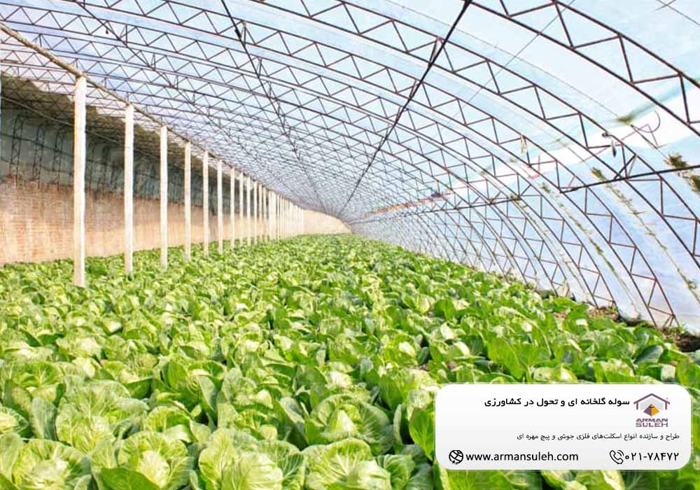 سوله گلخانه ای و تحول در کشاورزی