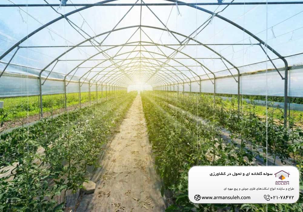 سوله گلخانه ای و تحول در کشاورزی